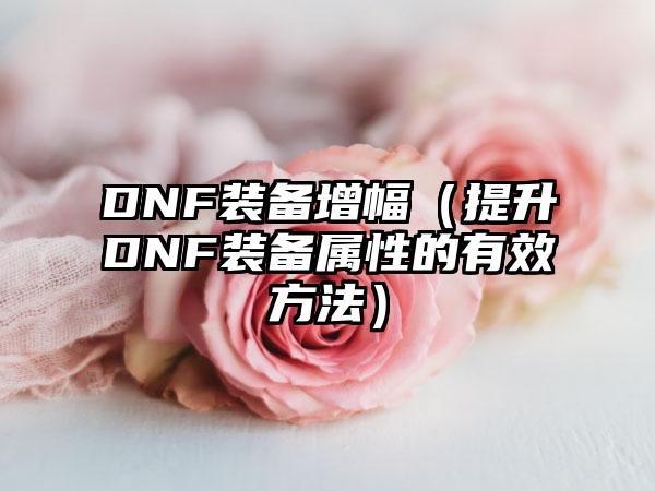 DNF装备增幅（提升DNF装备属性的有效方法）