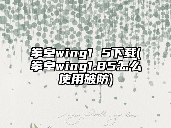 拳皇wing1 5(拳皇wing1.85怎么使用破防)