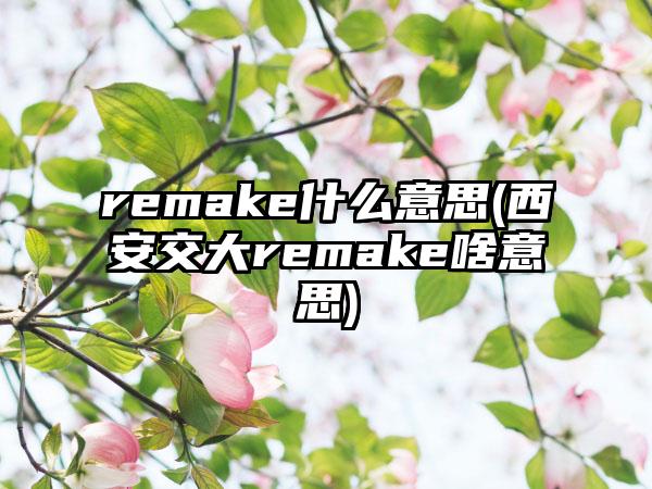 remake什么意思(西安交大remake啥意思)
